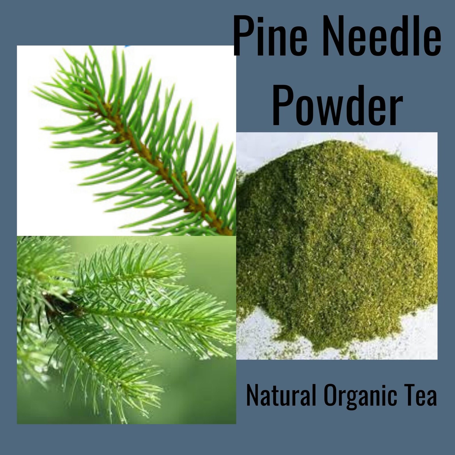 Pine Needle Powder Tea Pure Organic Edible Natural Tea 200 Etsy