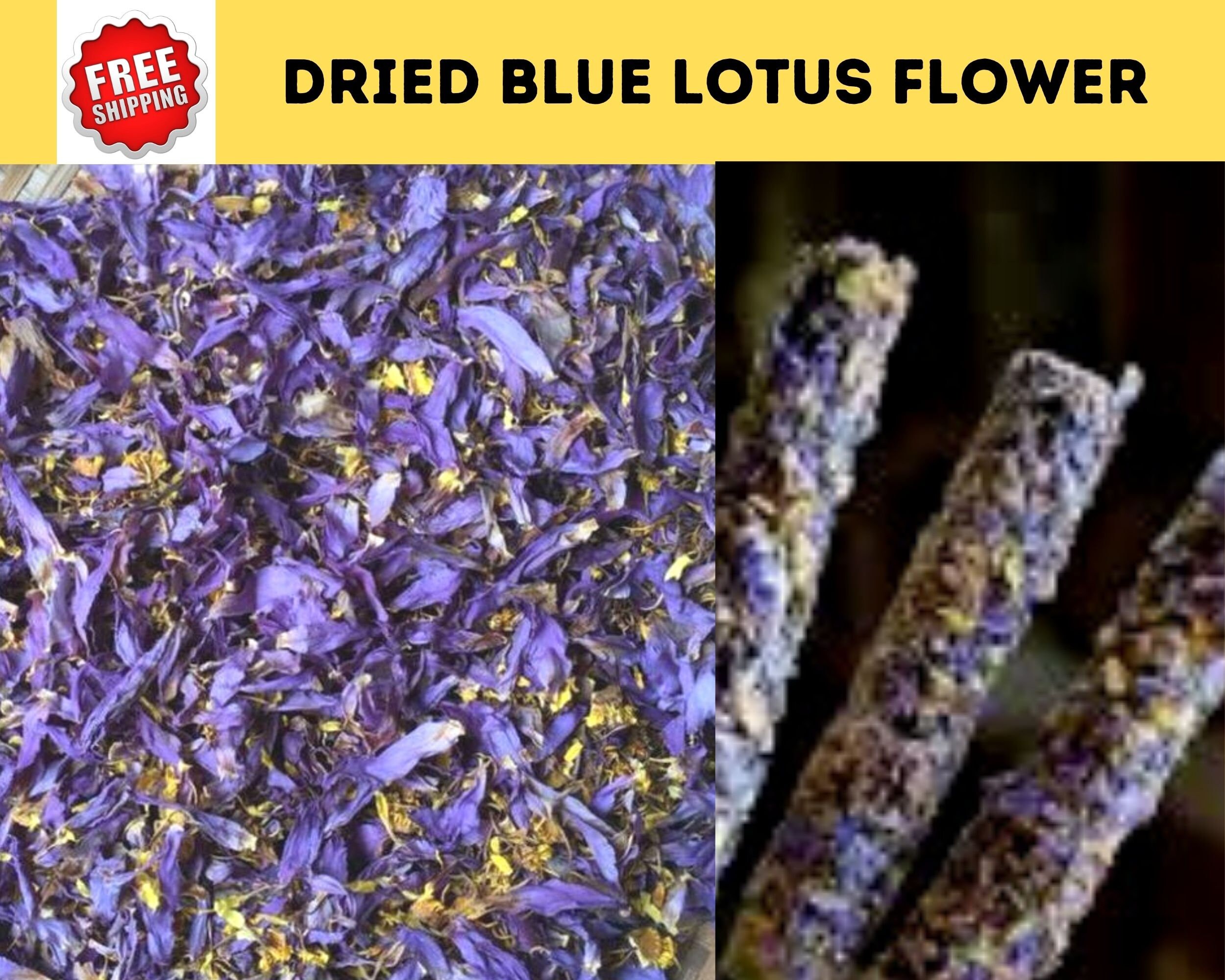 DRIED BLUE LOTUS Flower100 Organic Sacred Blue Lotus Etsy DRIED BLUE LOTUS Flower100 Organic Sacred Blue Lotus Etsy