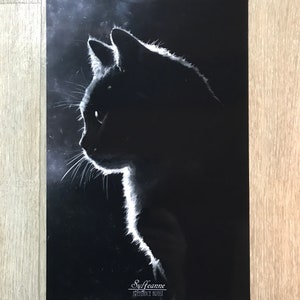 Peut inclure: Une illustration en noir et blanc du profil d'un chat, dessinée dans un style minimaliste. La fourrure du chat est représentée par des lignes blanches sur un fond noir. La signature de l'artiste, "Sylfeanne Freelance Artist", est visible en bas de l'image.