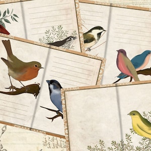 DIGITAL DOWNLOAD | birds | junk journal pages | vintage | paper crafts | printable | basic paper