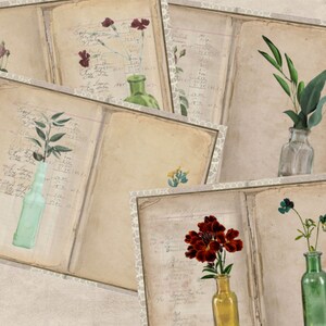 Op de afbeelding: Vijf vintage-achtige illustraties van verschillende bloemen in glazen flessen op een achtergrond van oude, handgeschreven pagina's. De bloemen omvatten roze rozen, rode anjers, groene bladeren, gele bloemen en paarse bloemen.