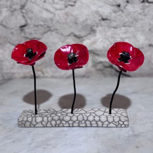 Small poppies on base
