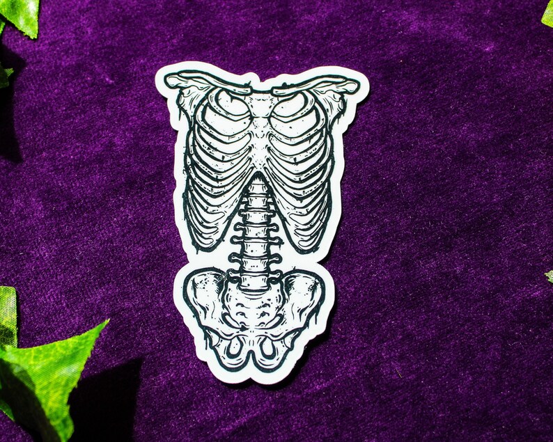 K&ouml;nnte beinhalten: Eine Schwarzwei&szlig;illustration eines menschlichen Brustkorbs und einer Wirbels&auml;ule. Die Illustration ist auf einem wei&szlig;en Aufkleber gedruckt.