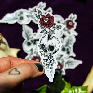 May include: A die-cut sticker featuring a black and white line art illustration of a human skull with roots growing from the base and a red rose with a central human eye blooming from the top of the cranium, presented on a white background.