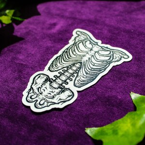 K&ouml;nnte beinhalten: Ein schwarz-wei&szlig;er Aufkleber eines menschlichen Skeletts mit detailliertem Brustkorb und Wirbels&auml;ule. Der Aufkleber befindet sich auf einem violetten Hintergrund.