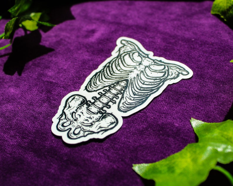 K&ouml;nnte beinhalten: Ein schwarz-wei&szlig;er Aufkleber eines menschlichen Skeletts mit detailliertem Brustkorb und Wirbels&auml;ule. Der Aufkleber befindet sich auf einem violetten Hintergrund.