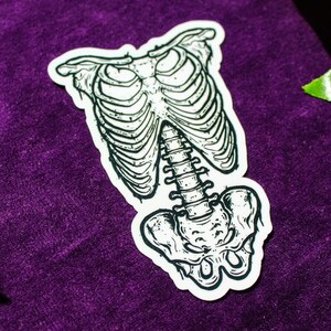 K&ouml;nnte beinhalten: Eine Schwarzwei&szlig;illustration eines menschlichen Skeletts, das den Brustkorb und die Wirbels&auml;ule zeigt. Die Illustration ist auf wei&szlig;em Hintergrund.