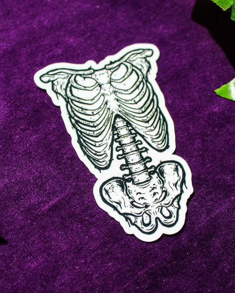 K&ouml;nnte beinhalten: Eine Schwarzwei&szlig;illustration eines menschlichen Skeletts, das den Brustkorb und die Wirbels&auml;ule zeigt. Die Illustration ist auf wei&szlig;em Hintergrund.