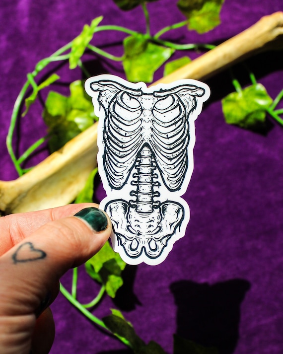 Rib Cage Vinyl Sticker: Gothic Skeleton Decal for Laptop