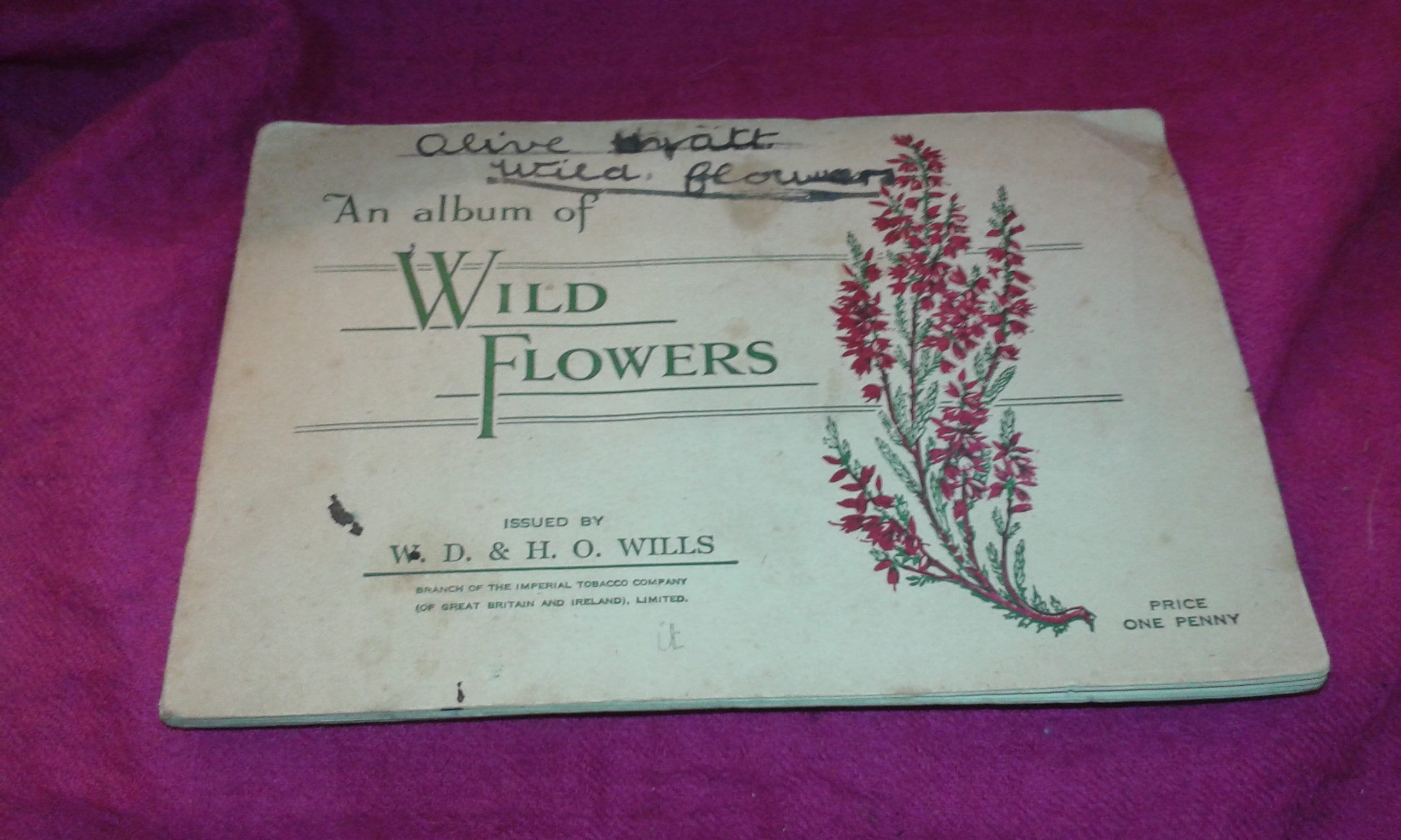 1930s Cigarette Cards - an Album of Wild Flowers - Issued by W.D & H.O.  WILLS - Every Card Plus Album - Art Nouveau Period