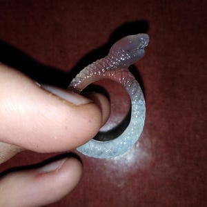 May include: A clear and translucent snake-shaped ring with a light purple and pink gradient. The ring is made of resin and has a detailed snake design.