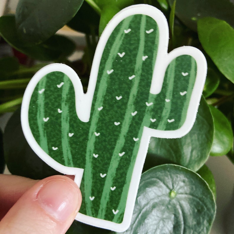 Cactus Vinyl Sticker Boho Plant Stickers Etsy