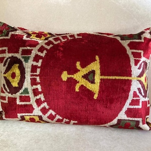 Silk Velvet İkat Pillow