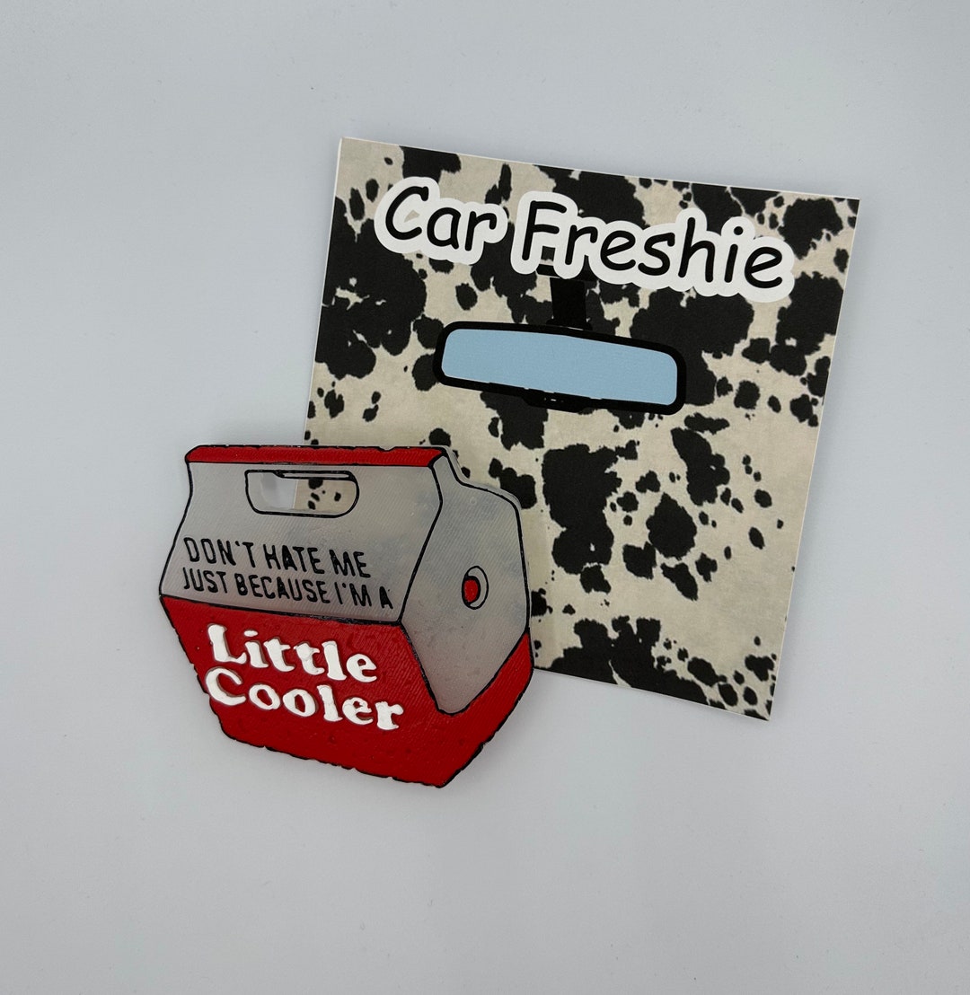 Just a Lil Cooler Car Freshie, Car Freshies, Funny Car Freshie Etsy