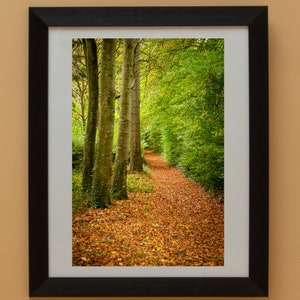 DeBurgh Autum Walk