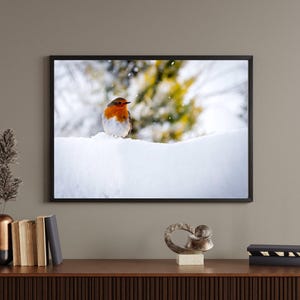 Photograph Robin In The Snow