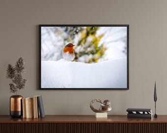 Foto Robin in de sneeuw
