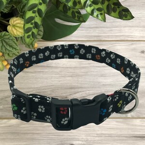 Collier de chien personnalisé : pattes colorées