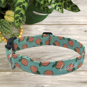 May include: A turquoise blue dog collar with a peach print and the name "Lulu" embroidered in white.