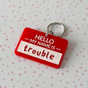 Acrylic Dog Tag: Hello My Name Is Trouble, Personalized Dog Tag, Cute Dog Tag, Cute Pet Tag, Dog Collar Charm
