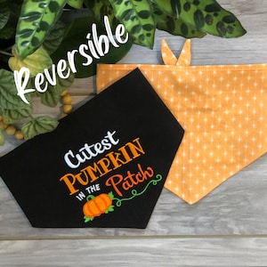 Personalized Reversible Snap Dog Bandana Cutest Pumpkin in the Patch, Custom Dog Bandana, Cat Pet Pumpkin Bandana, Fall Dog Bandana,