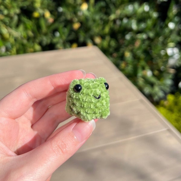Pocket Frog