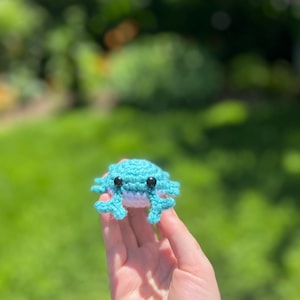 Pocket Crab
