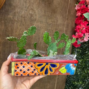 rectangle mini planters