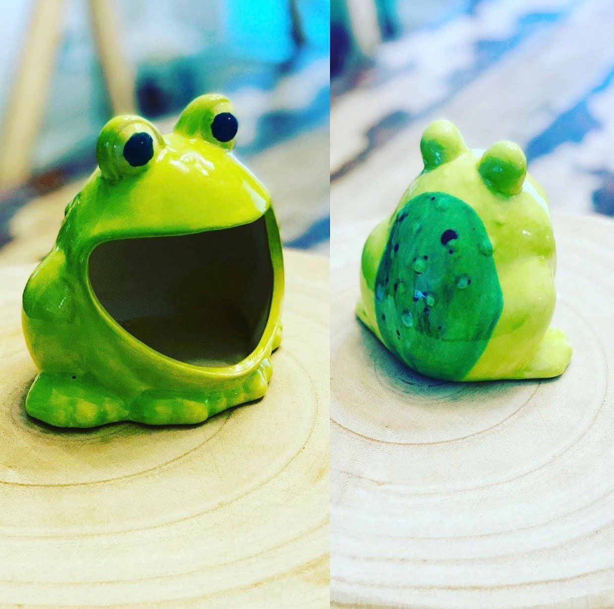 Ceramic Frog Sponge Holder 