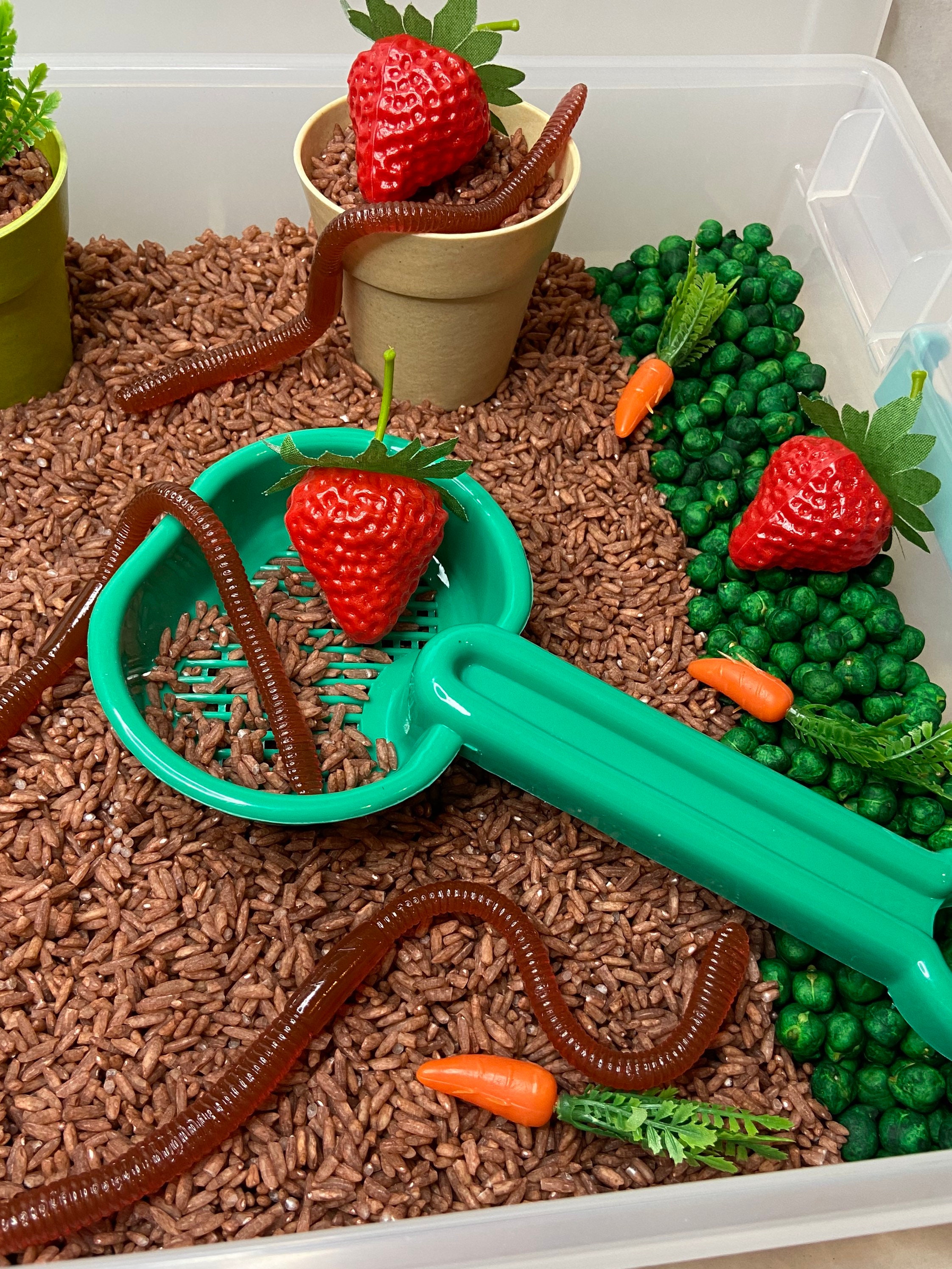 Garden Sensory Bin Sensory Kit Sensory Play Preschool Etsy