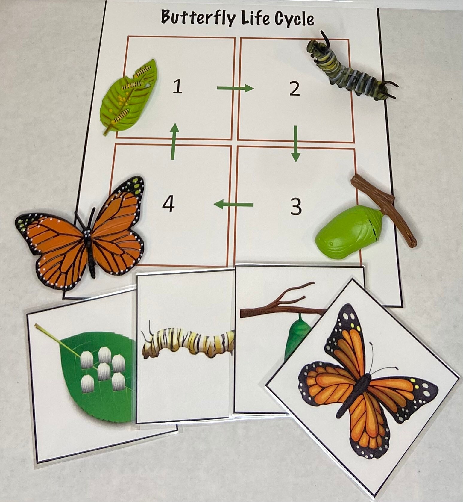 Butterfly Life Cycle Sensory Bin Sensory Kit Sensory Play Etsy
