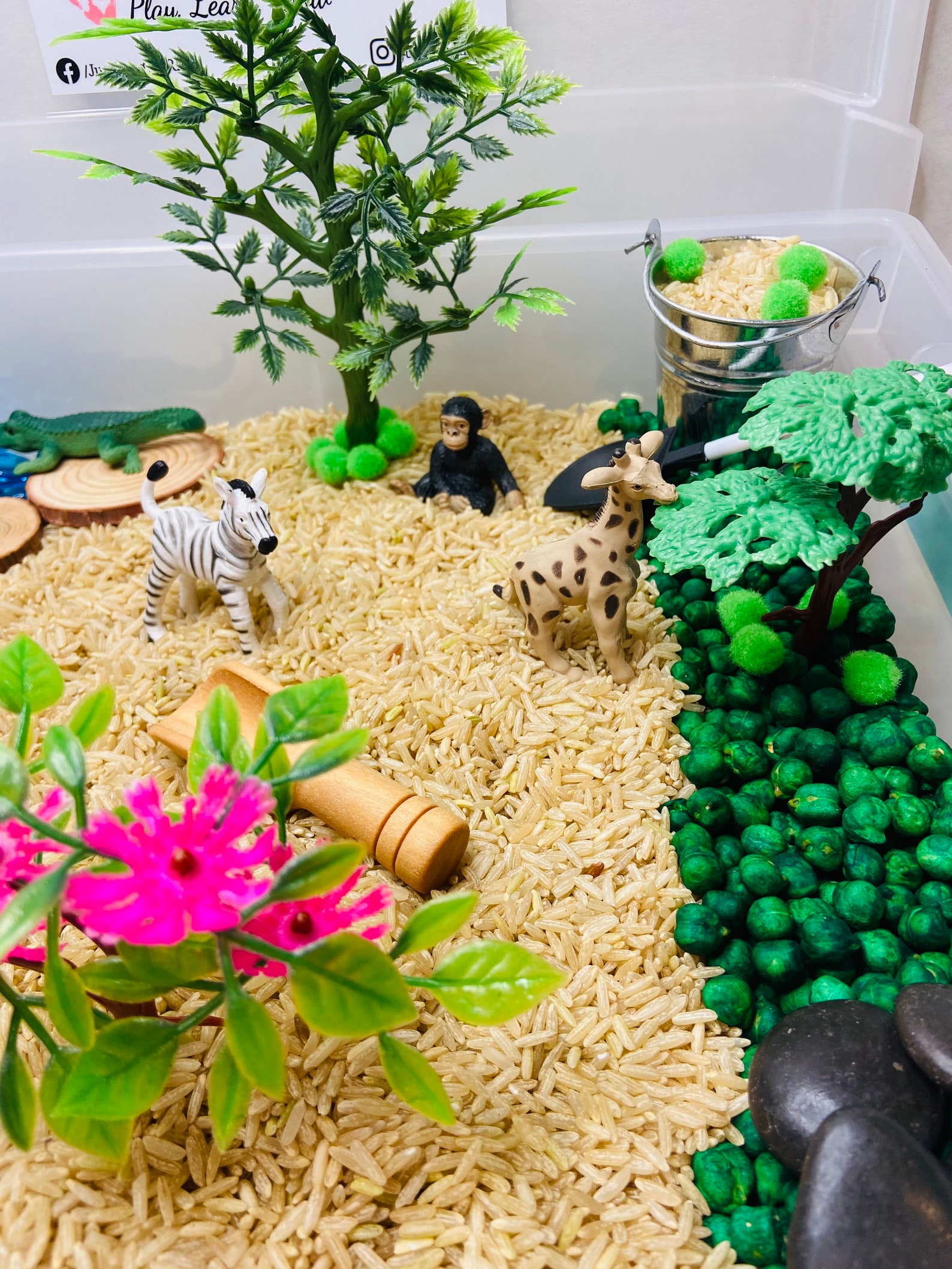 Safari Sensory Bin Wild Animal Sensory Kit Africa Sensory Etsy