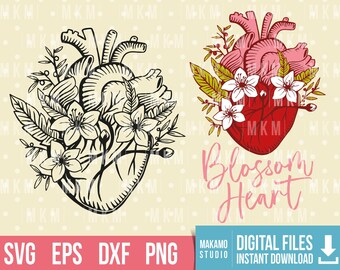 Download Anatomical Heart Svg Etsy