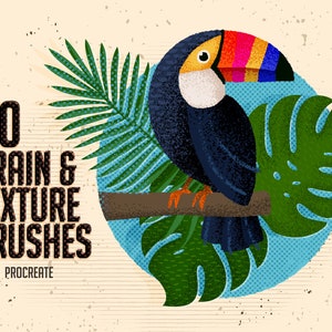 Grain and Texture Procreate Brushes (includes grunge liners, pattern liners, seamless textures and patterns and grain shaders