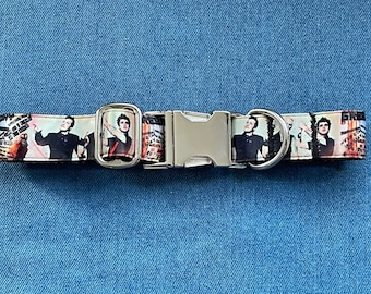 Hand-made unofficial Green Day dog collar