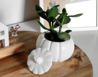 Kürbis | mit Deckel | Beton | weiß | Dose | Blumentopf | für Kerze
