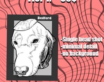 以下が含まれることがあります： 「Bedford」という名前の、暗い灰色のフレームに入った犬の頭部の白黒イラスト。画像は、波線のあるピンク色の背景に設定されています。テキストは「Single head shot」、「minimal detail」、「no background」を示しています。