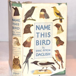 Name This Bird. (1st 1934) Eric Fitch Daglish. Vintage Natural History Book.  64 Colour illustrations. Hardback with Dustjacket.
