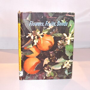 Flowers, Fruits, Seeds (1962) Colour Illustrations. Vintage Hardback Nature Book. Collectible.
