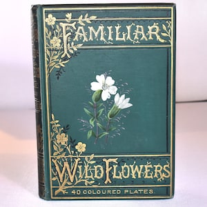 Familiar Wild Flowers. F. Edward Hulme. (1883) Second Series. Decorative Cover. 40 Colour Plates. Collectible Vintage Nature Book. Antique