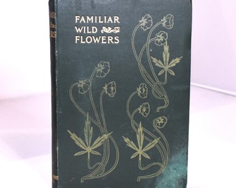 Familiar Wild Flowers. F. Edward Hulme.  Fourth Series. Decorative Cover. 40 Colour Plates. Collectible Vintage Nature Book. Antique