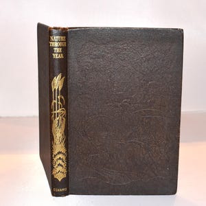 Nature Through the Year (1946) Vintage Natural History Book. Many Illustrations. Pretty Spine. Collectible