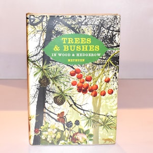 Vintage Nature Book. Trees and Bushes in Wood & Hedgerow (1968) Colour Botanical Illustrations. Dustjacket. Collectible.