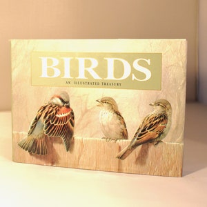 Birds An Illustrated Treasury. (1992) Vintage Natural History Book. Landscape Format. Colour illustrations. Hardback with Dustjacket.