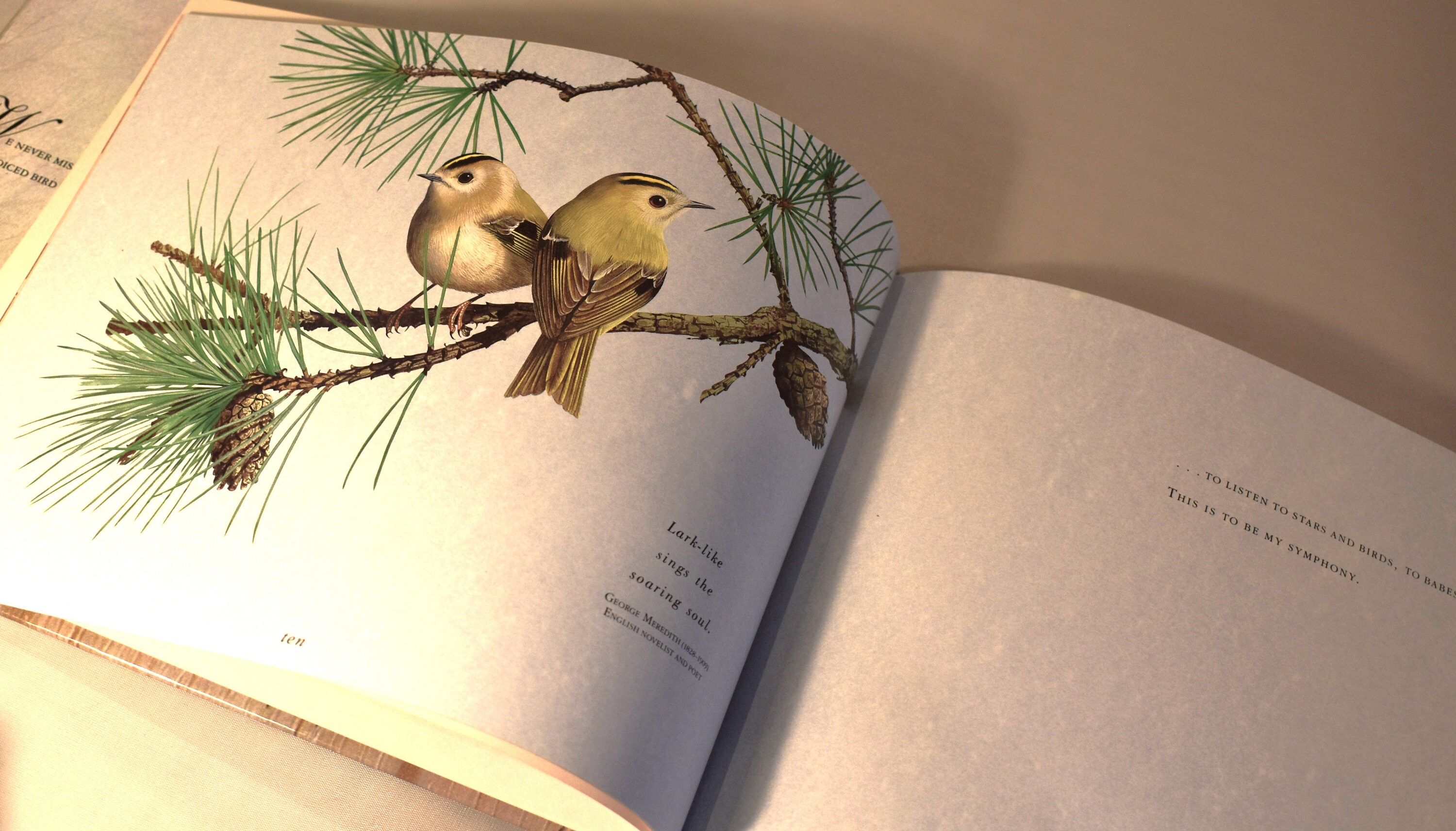 19世紀にイギリス 出版 鳥に関する自然史の書籍 アンティーク古書 19世紀にイギリス 出版 鳥に関する自然史の書籍 アンティーク古書