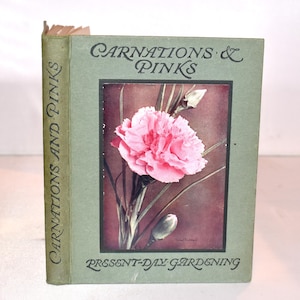 Carnations & Pinks. Edwardian. Illustrated. 8 Colour Plates Antique Nature Book. Decorative Cover and Spine. Botanical Art.
