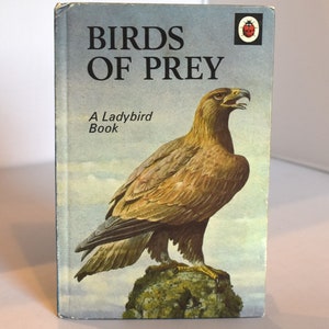 Birds of Prey. Ladybird (1970) Vintage Natural History Book. Colour illustrations. Collectible.