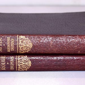 Two Book Stack. Dumas. (1920s) Illustrated small leather antiquarian books. Decorated Spine. Instant library.