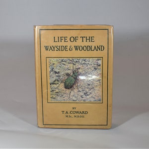 Könnte beinhalten: Ein Buch mit dem Titel "Life of the Wayside & Woodland" von T.A. Coward, M.Sc., M.B.O.U. Der Umschlag zeigt einen grün-schwarzen Käfer auf braunem Hintergrund.