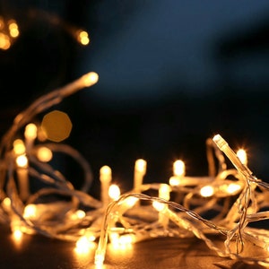 10m Fee Lichterkette mit 100 LED Birnen USB Kabel